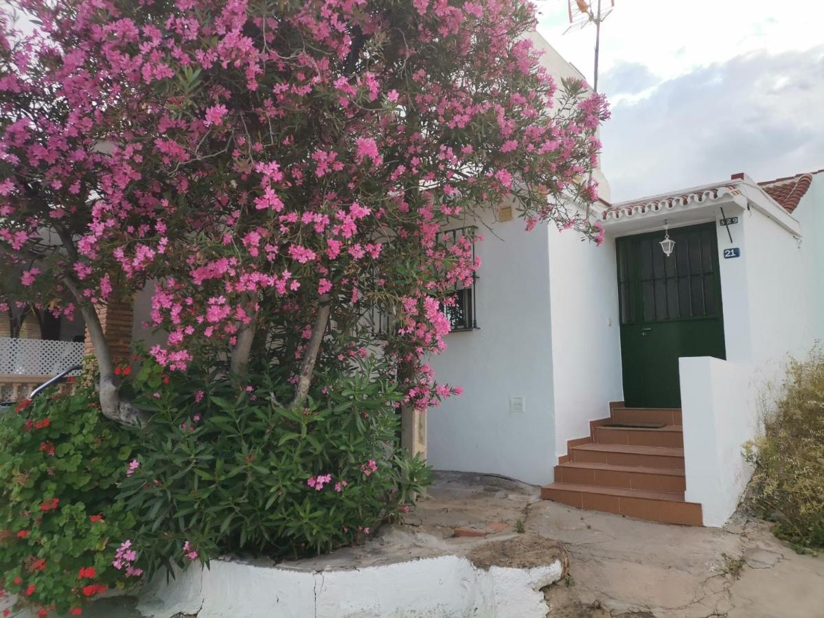 Cortijo Vallejo